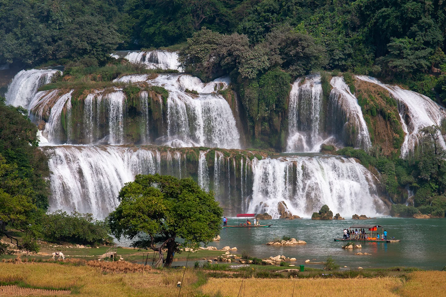 Meghalaya
