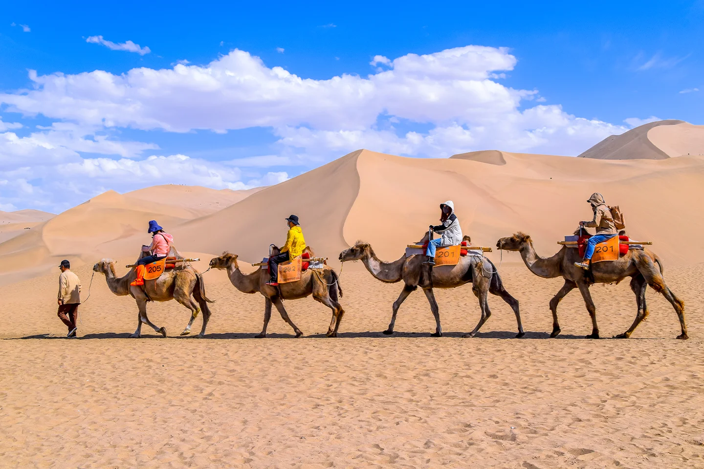 Rajasthan